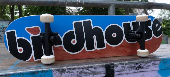 A Birdhouse complete skateboard