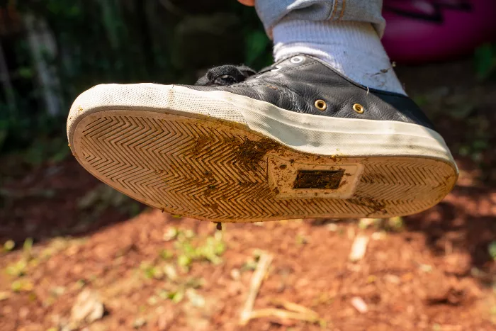 A close-up of the Converse x Jenkem Jack Purcell Pro skate shoe with dog poop stuck in the thin treads of the sole.