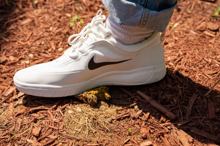 A close-up of the Nike SB Nyjah Free 2 skate shoe with dog poop smeared on the sole and side.