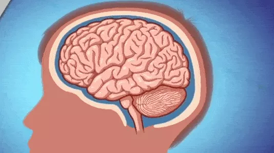 A digital illustration depicting how the brain collides with the inside of the skull upon impact.