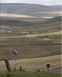 a scenic view of a downhill skateboarding spot, highlighting the global nature of the sport