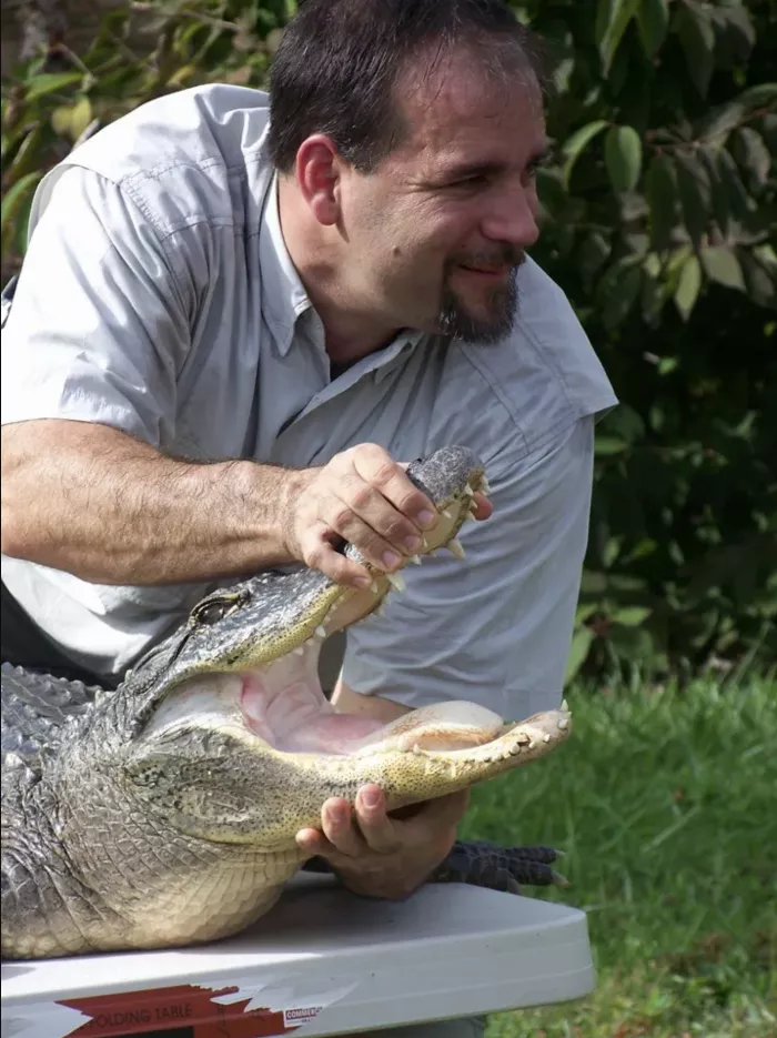 Dan &quot;The Animal Man&quot; with a chimpanzee and alligator