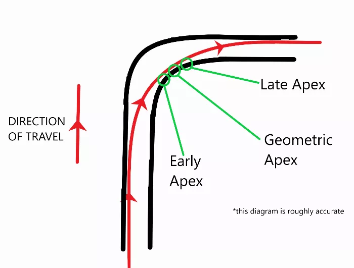 diagram showing early, geometric, and late apex