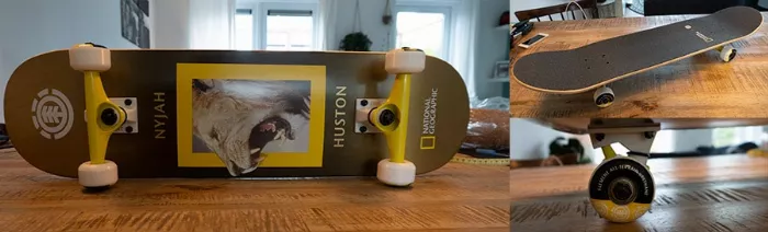 Element beginner skateboard national geographic