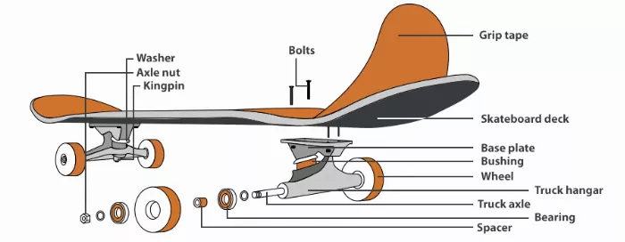 Longboard components diagram