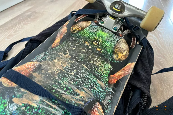 Longboard strapped to a travel bag