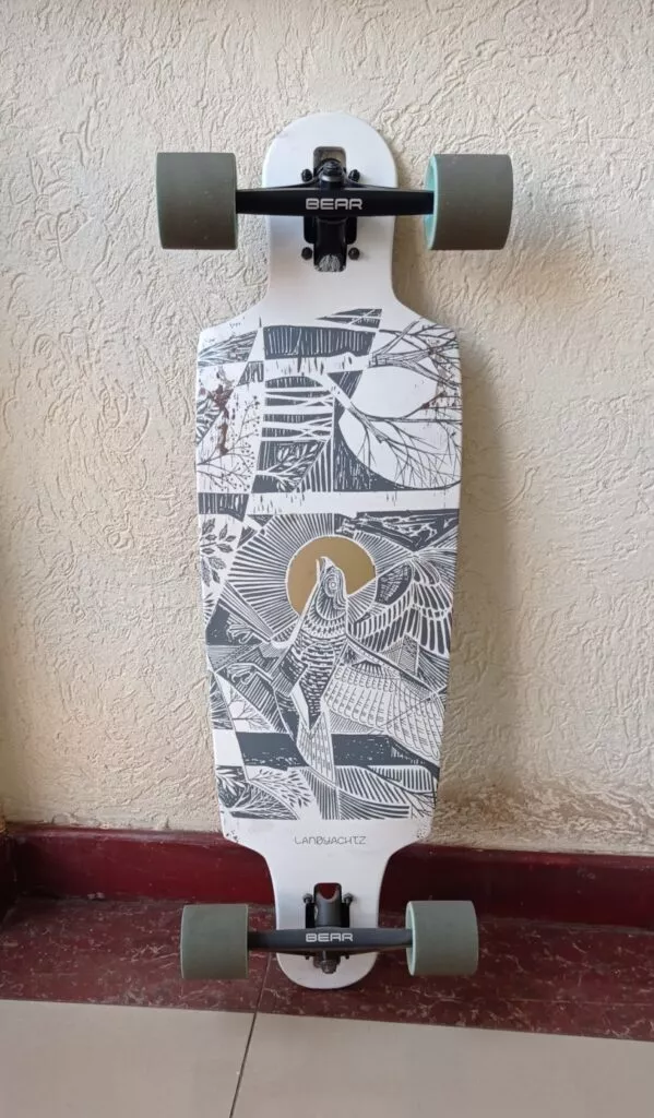 picture of dirty landyachtz drop cat