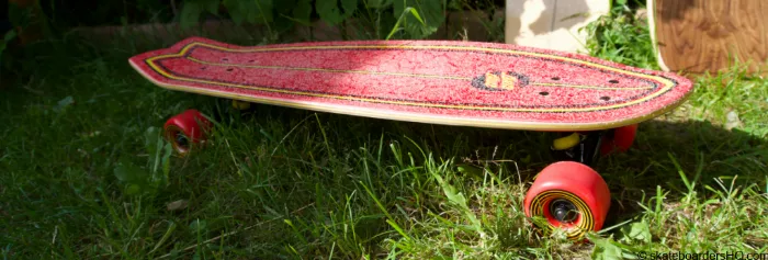 Santa Cruz Mini Cruiser in the grass