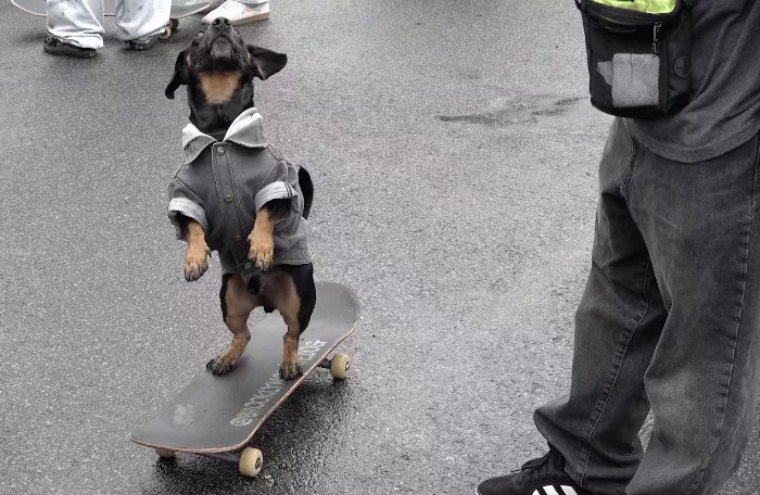 Screenshot of people enjoying the Vans Block Party